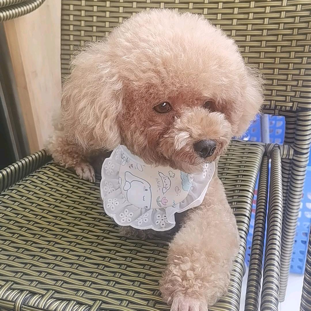 宁静的夏天⁹²⁰⁸