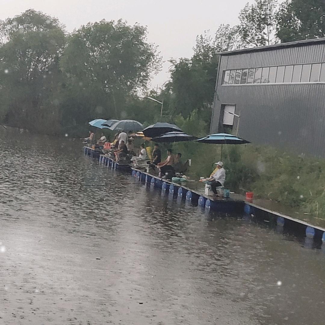 樊良村鲢鳙大物钓场