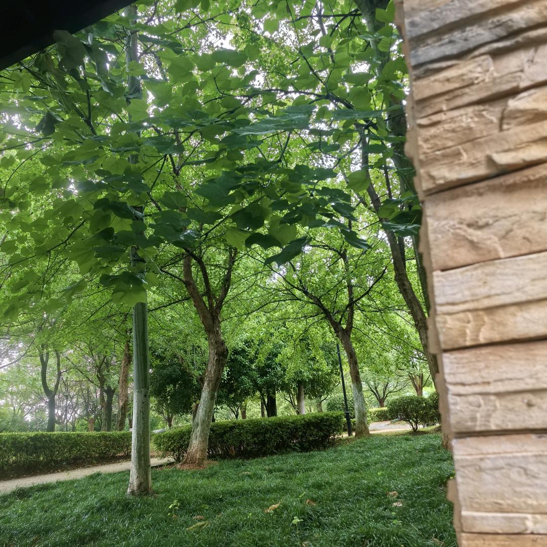 鹰潭@餐饮节能灶