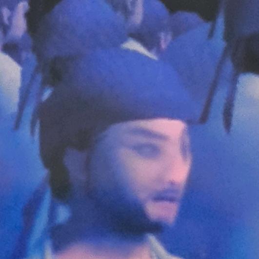 路边遇到一条小狗于是结婚了