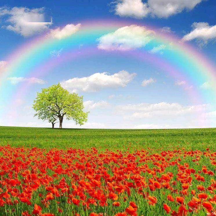 在村生活的大姨