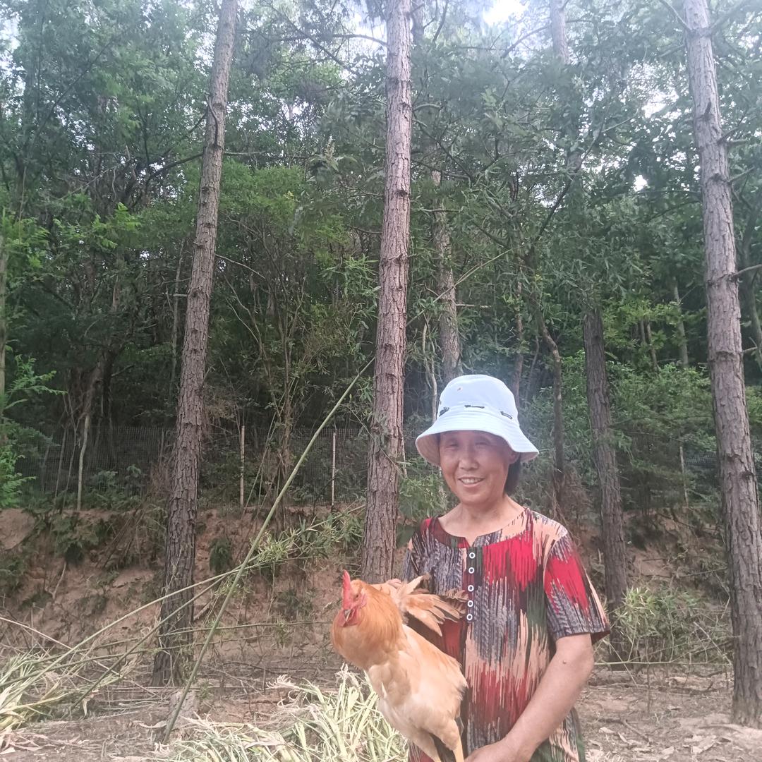 老农民生态农场