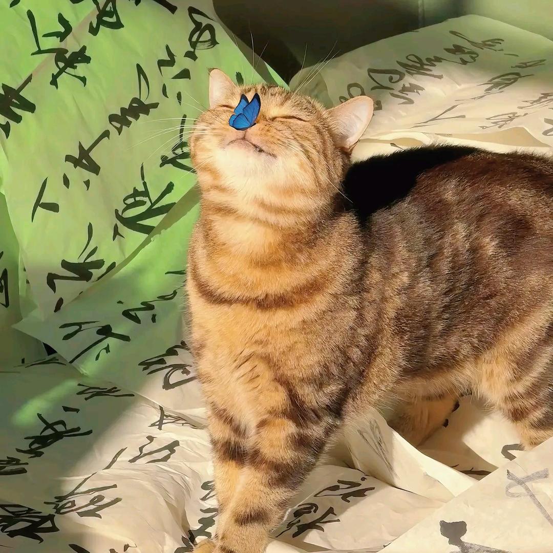 休息亿下
