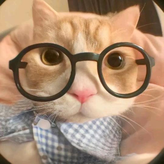 麦当劳里喝九珍🍟