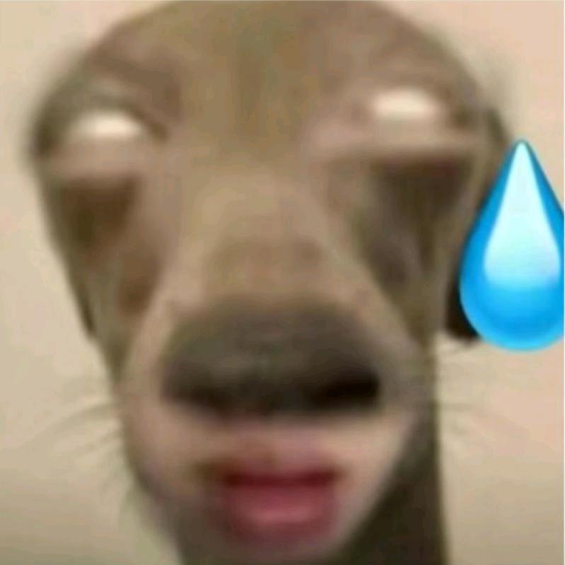 羽