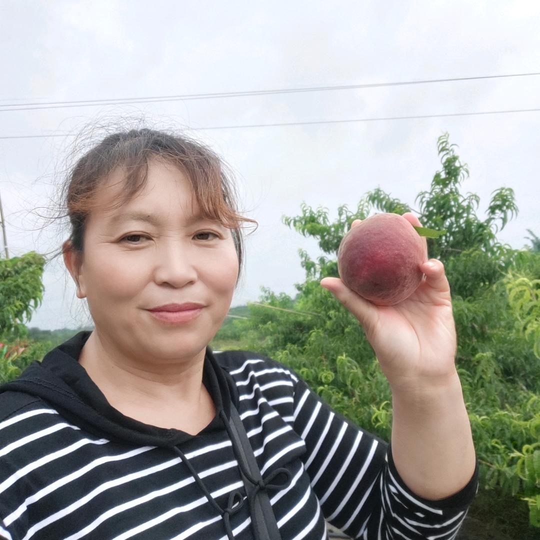 平平姐，不定时直播