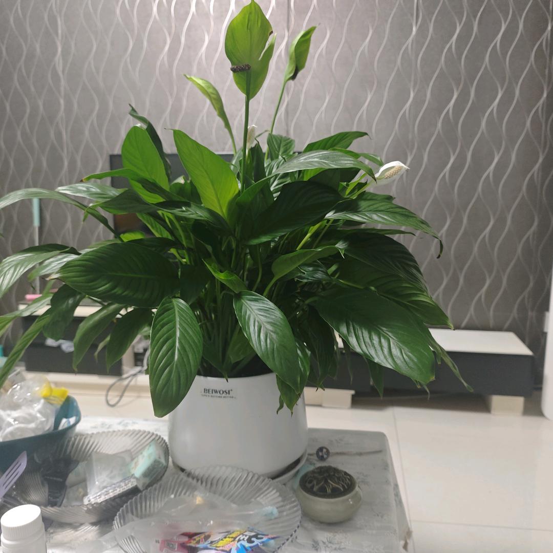 长沙一对一家教