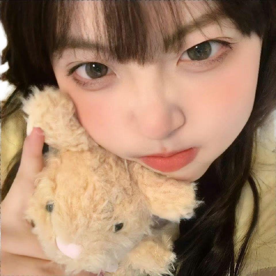 海绵猫猫