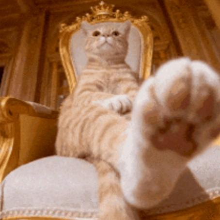 重生之我在抖音当皇帝