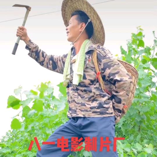 政叔（乡下土特产）