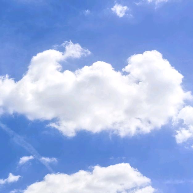 ༺༃汪༒ 洋༃༻