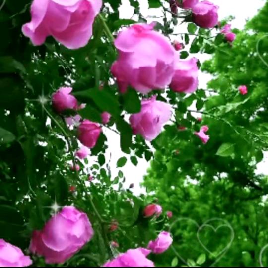 过好每一天💞