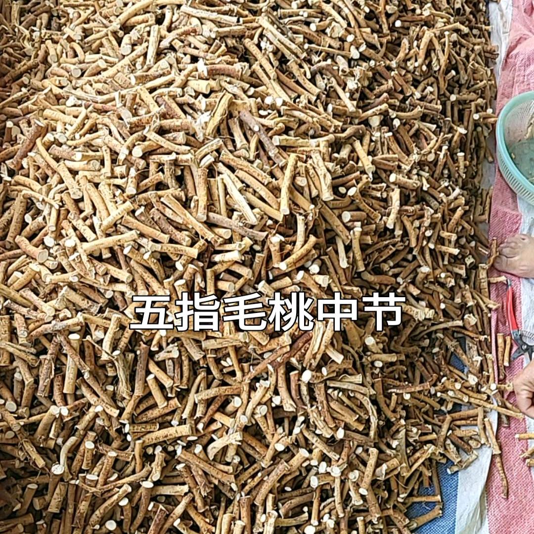 五指毛桃加工干货各种各样都有