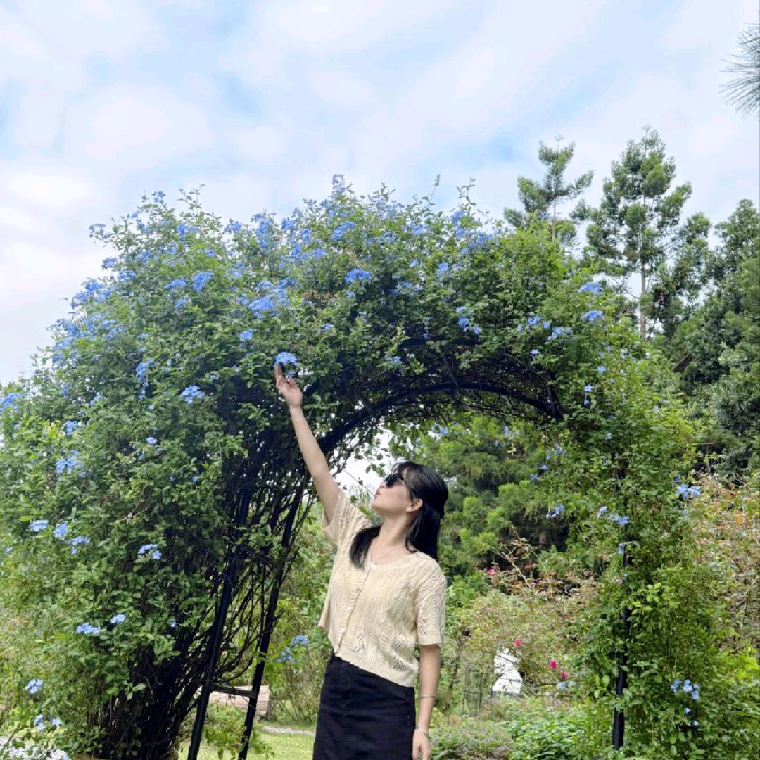 @小橙子🍊
