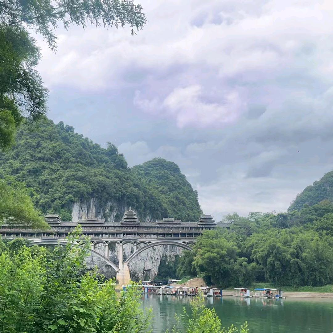 鲨鱼哥
