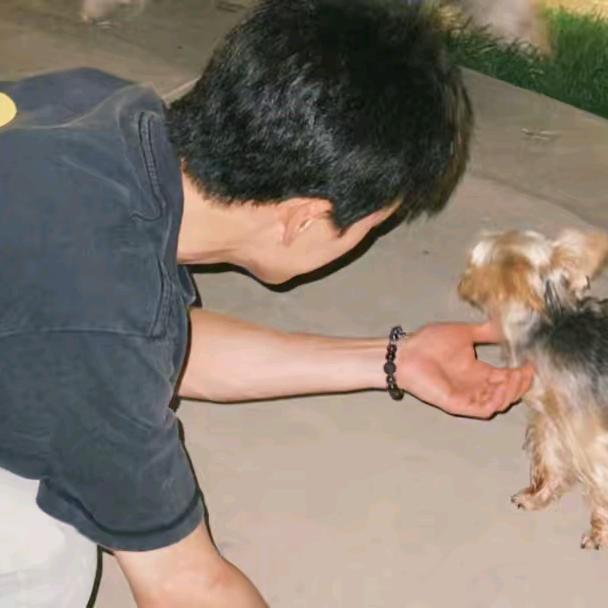 火鸡面加魔芋爽