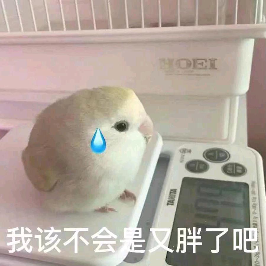 骑不动的小谷