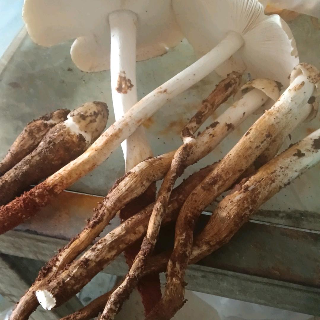 人间烟火，维我自信。