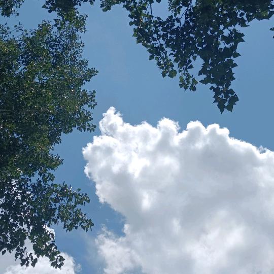 超越自我，绽放生命！