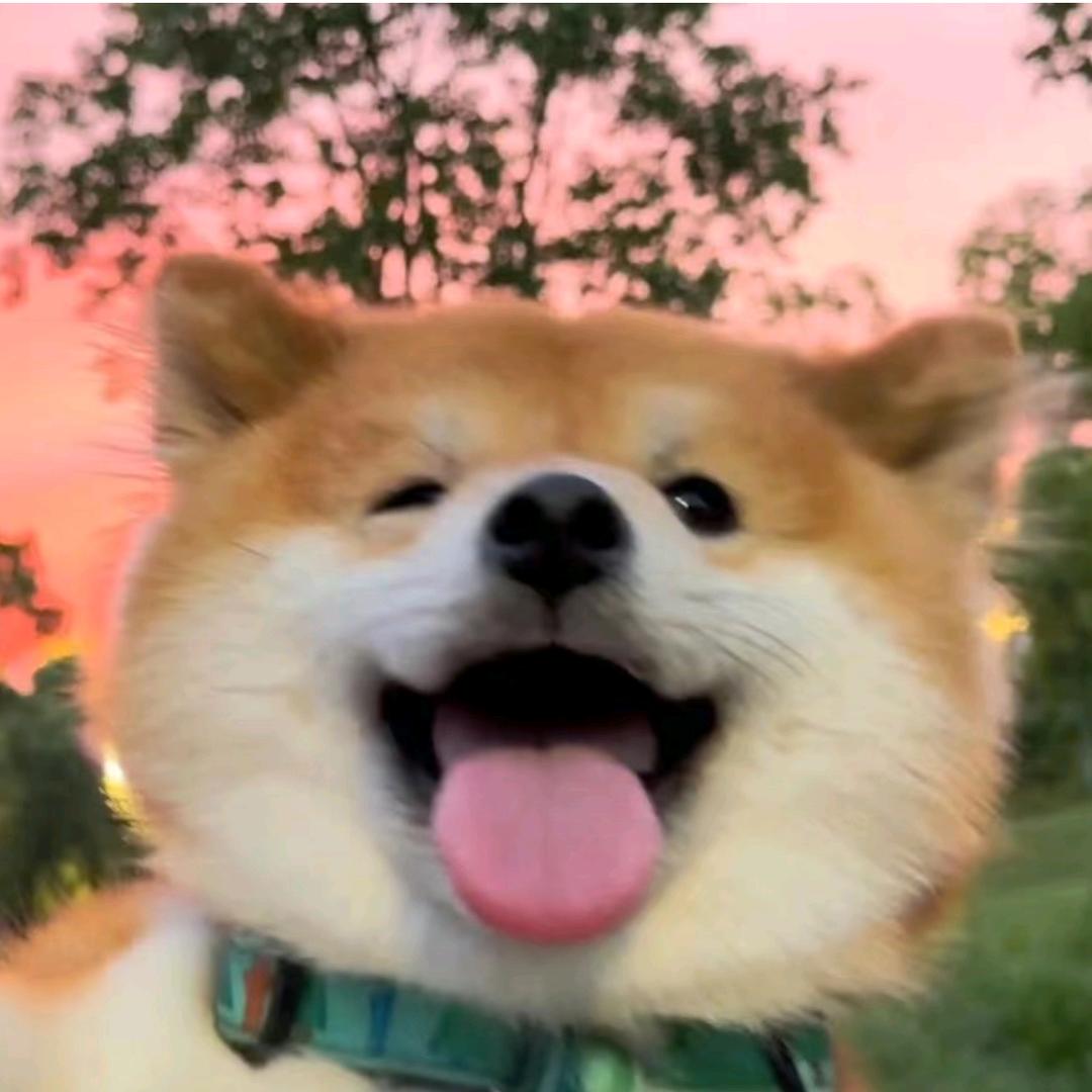 我没有耐心