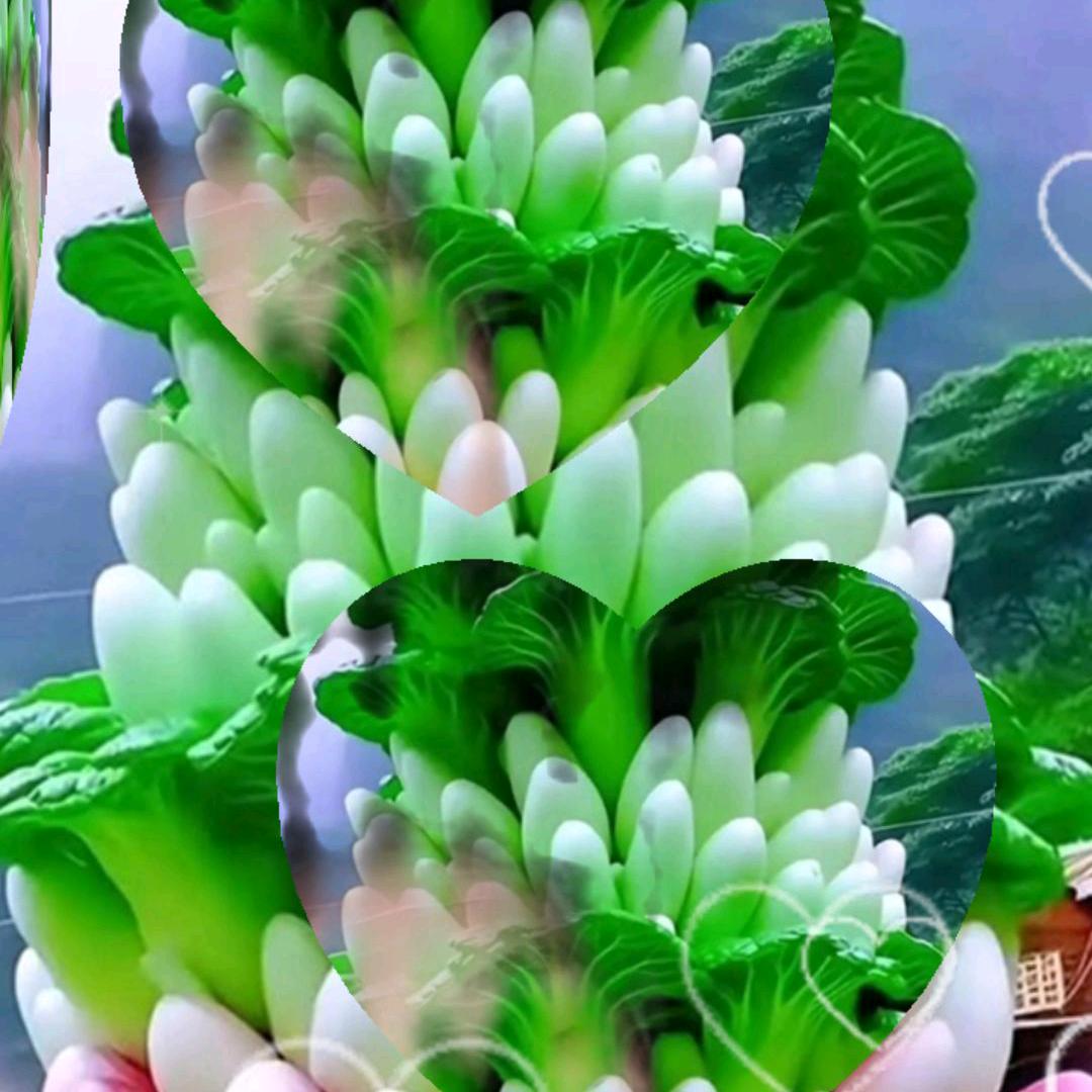 大棚菜