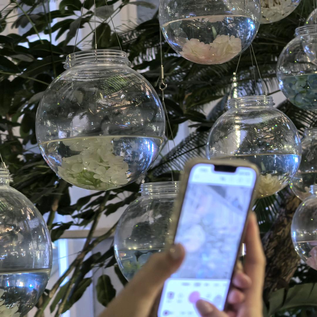 阳光午后百分百