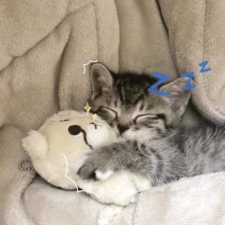 懵懂无知的人类😃