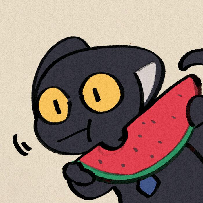 一只YOUNG本人的抖音号