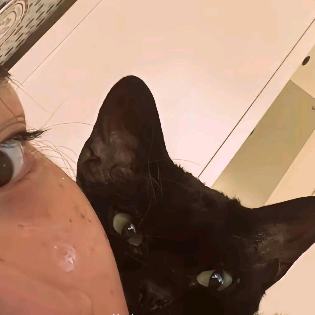 柒