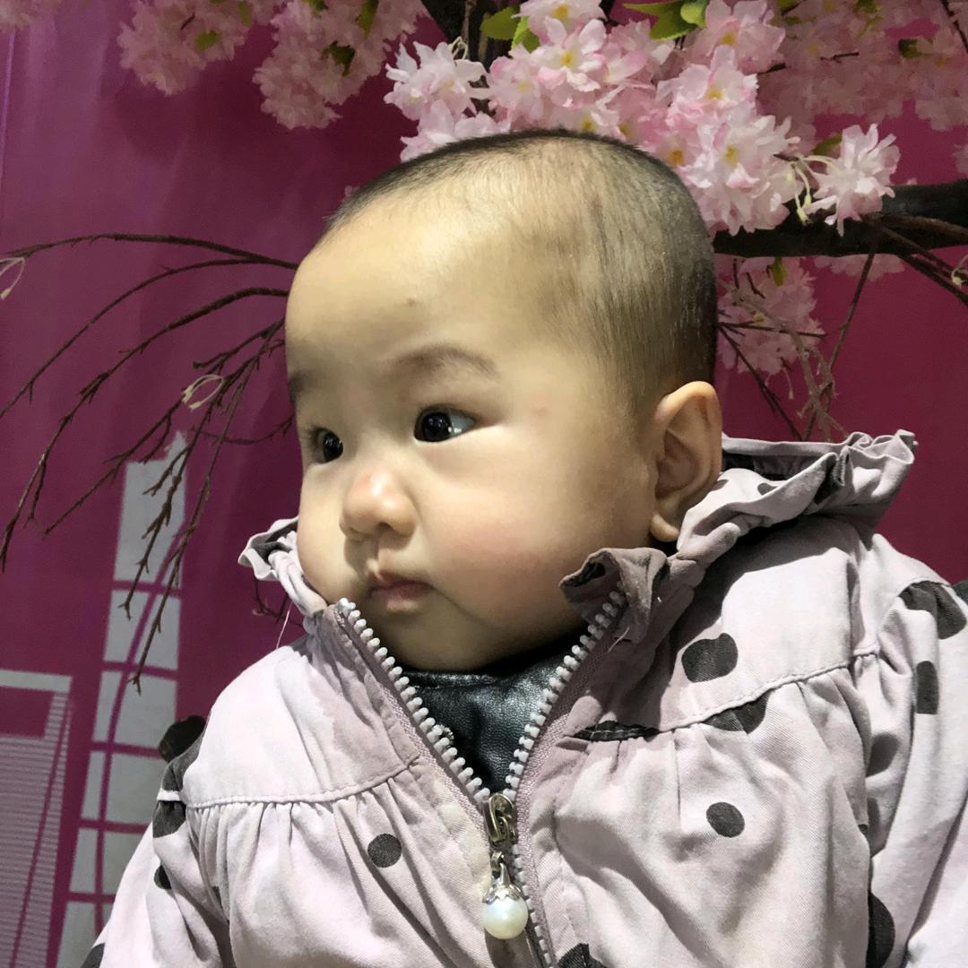 孤独的狼🐺