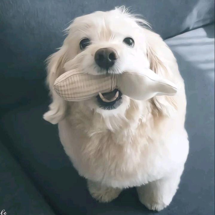 没耐心