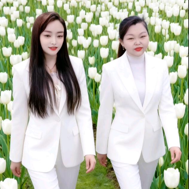 (赵双艳团队)(黎憶))