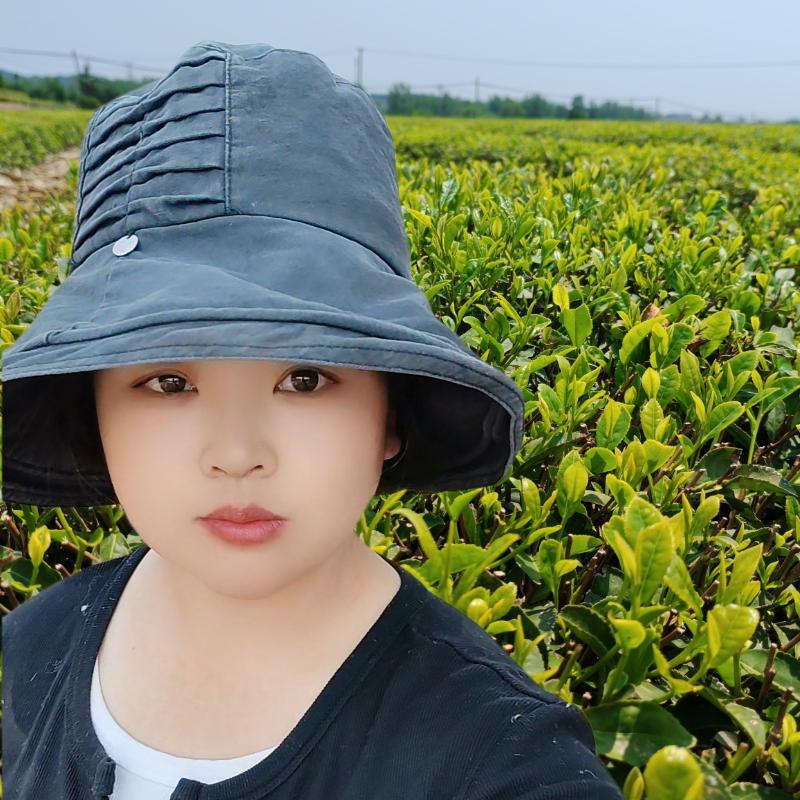 日照绿茶大暖暖