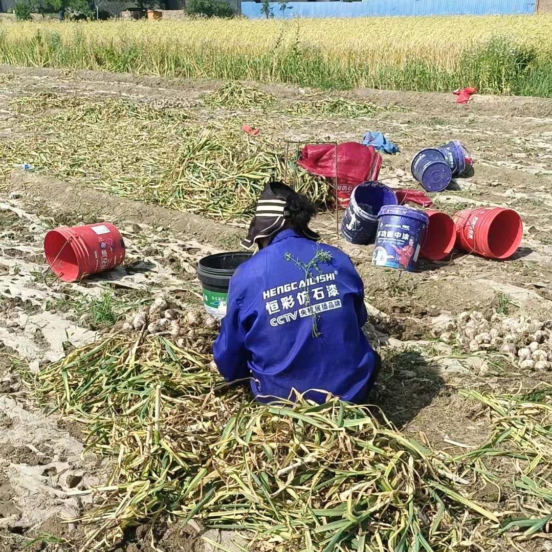 睿，晴，宇，的老母亲