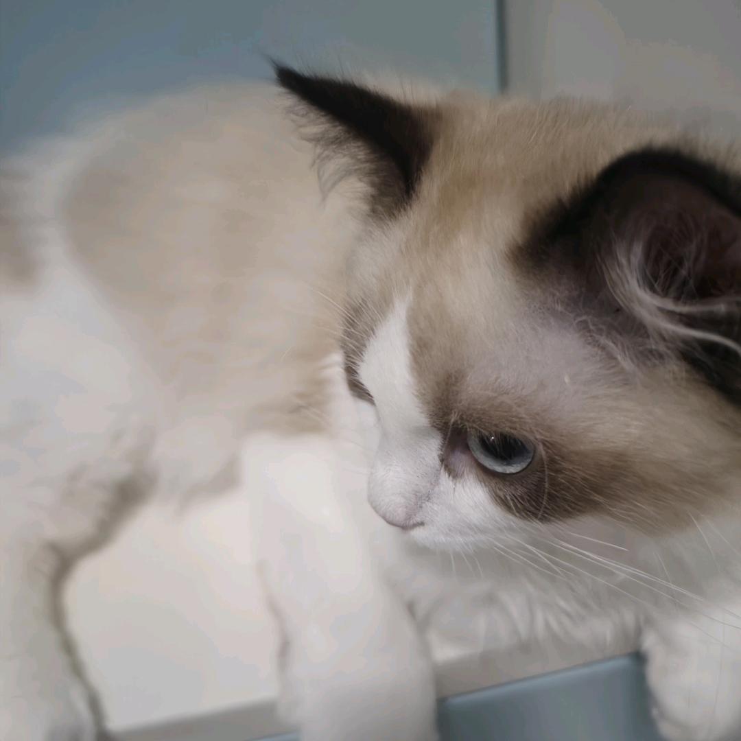 东莞虎门金鳞海钓场