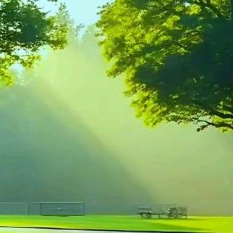 九红*减肥*祛斑*养肤*