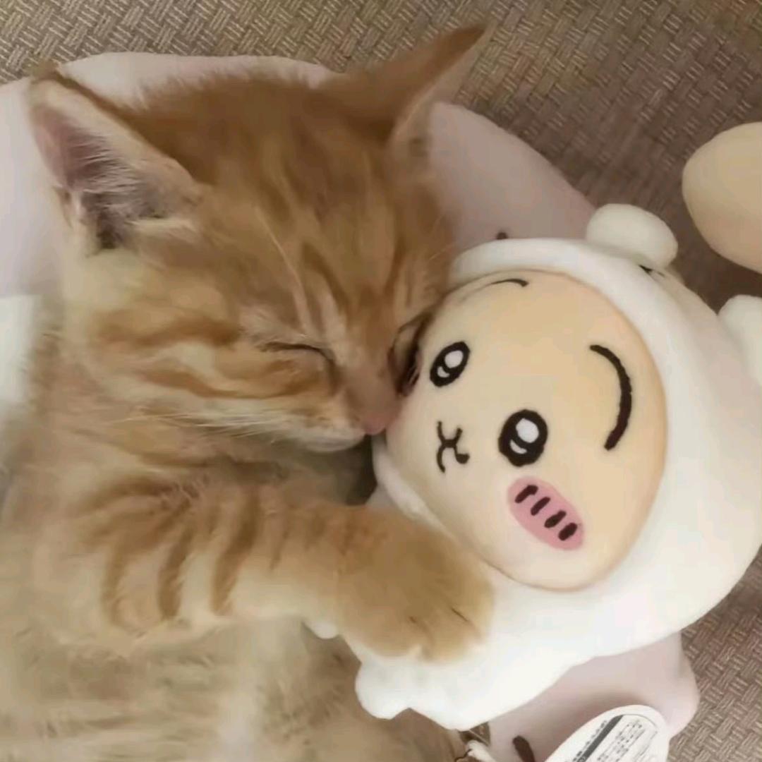 云剧吧