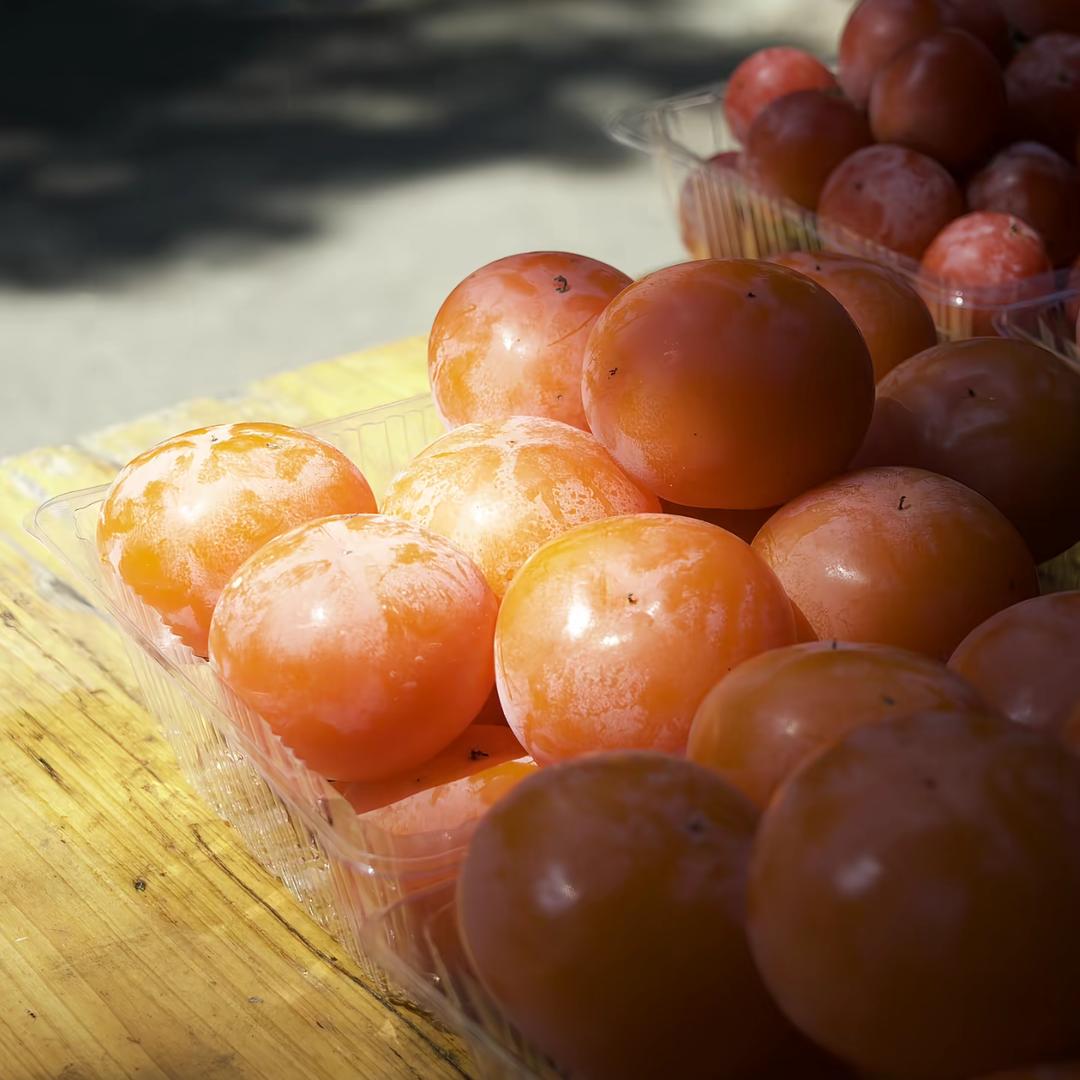 不觉寒冷心晴朗