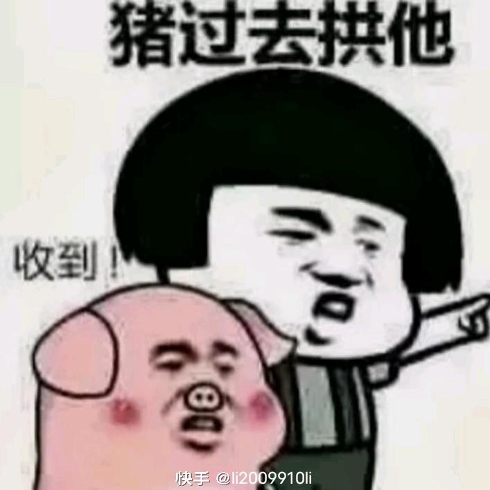 猪都笑了