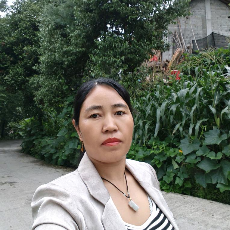 佤族黑玫瑰