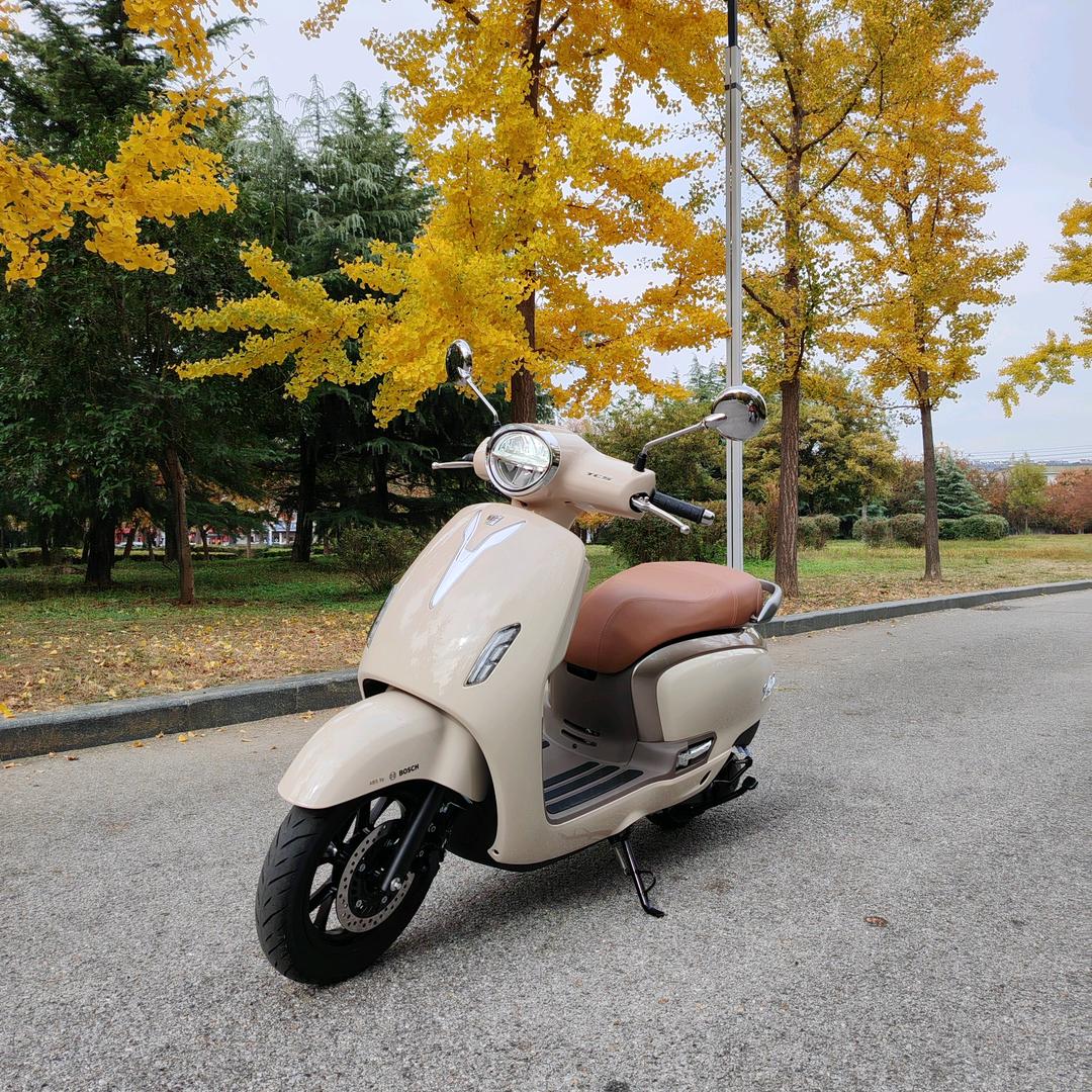 昌邑市奎聚街道豪豪车行