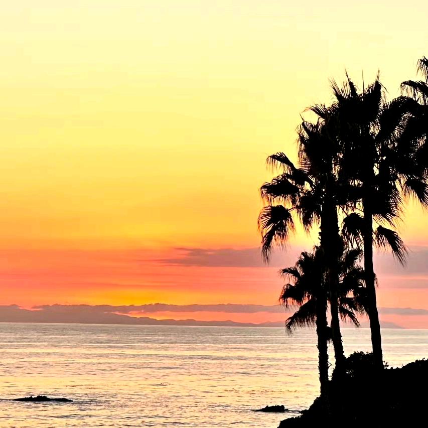 💫薇凉💫🔥🔥🔥