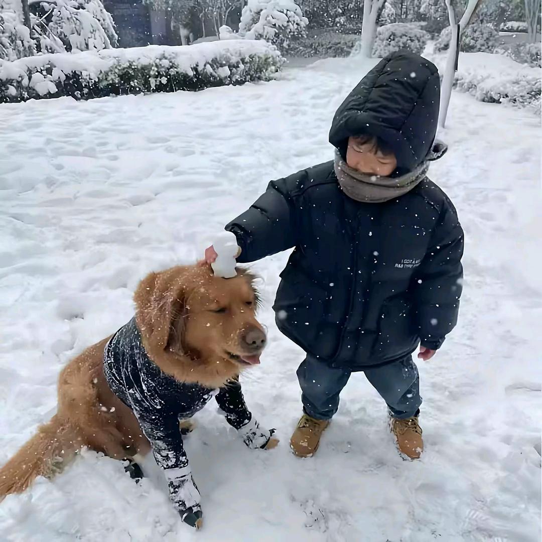 何  、