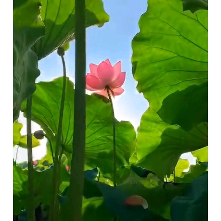 贵飞诗词会