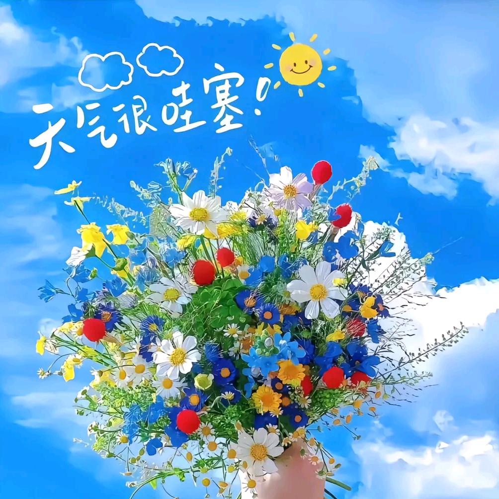 向阳而生
