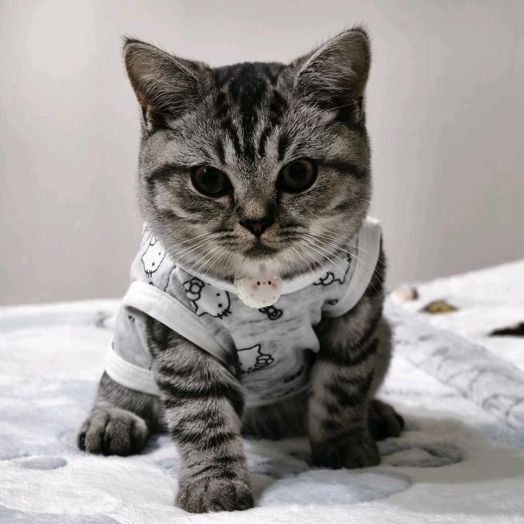 MerMer与金锁儿的朋友圈