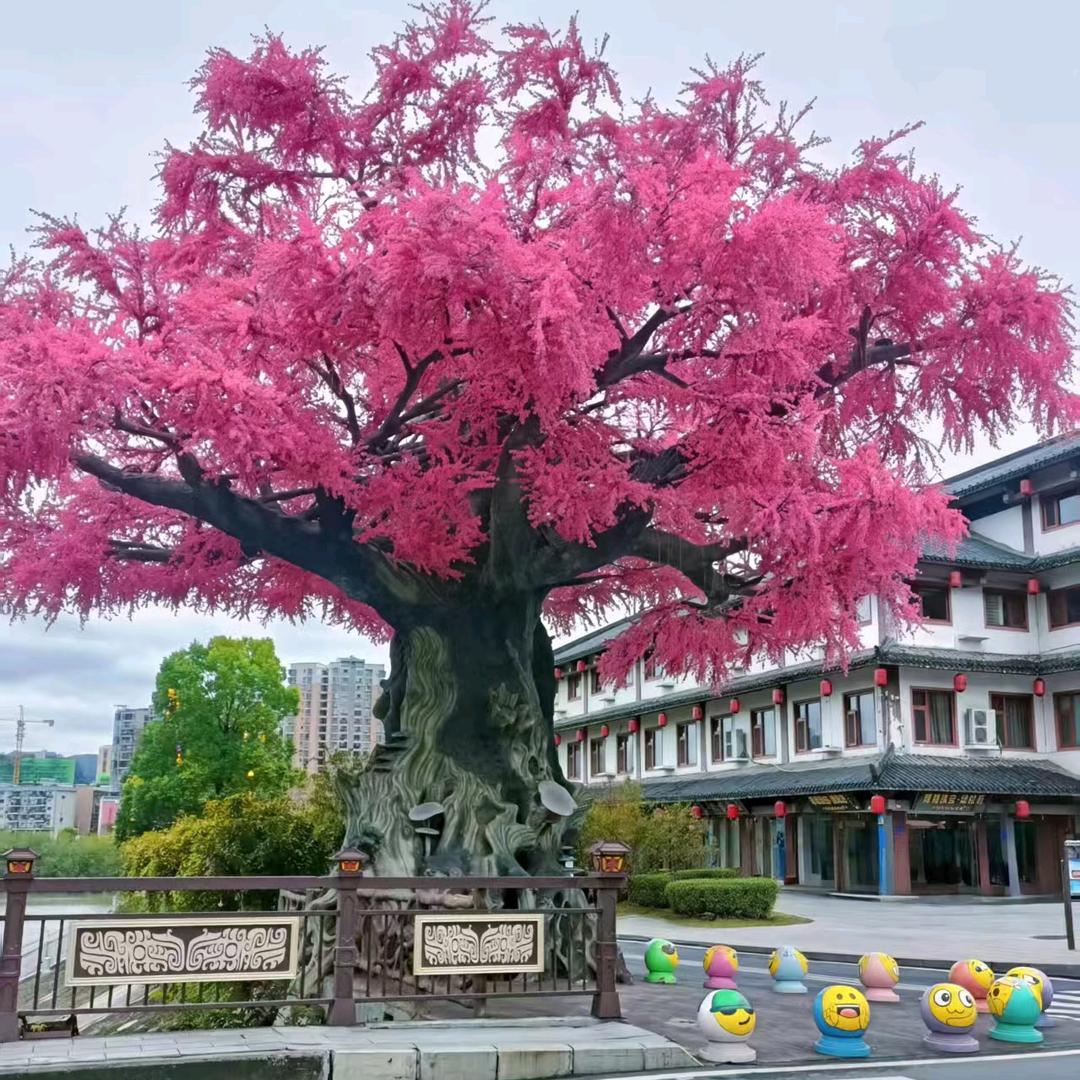懂真难