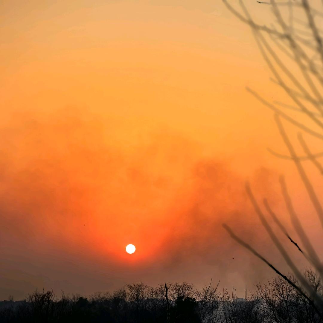 每天听点不一样