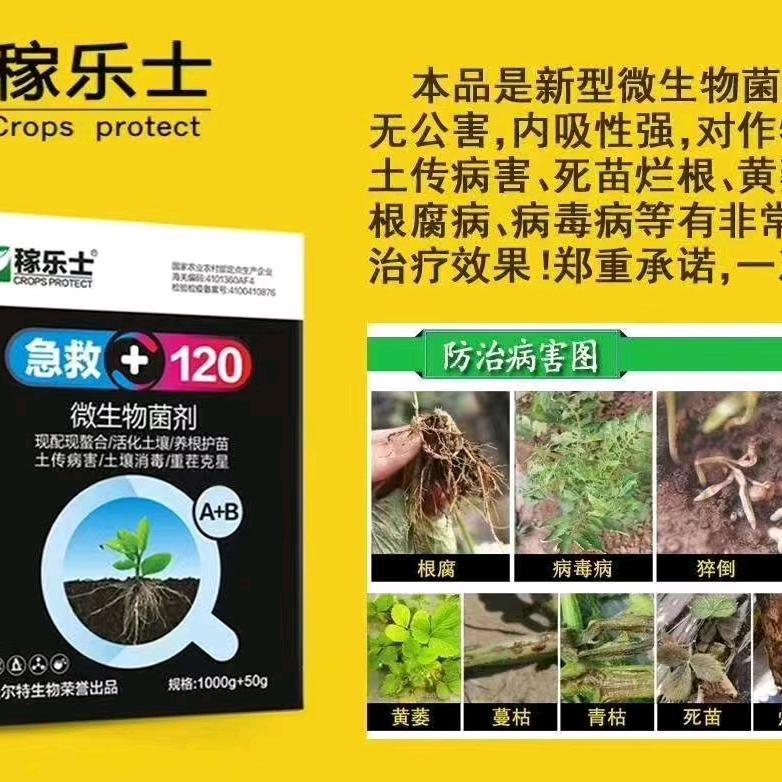 专一治疗枯萎病死苗等等