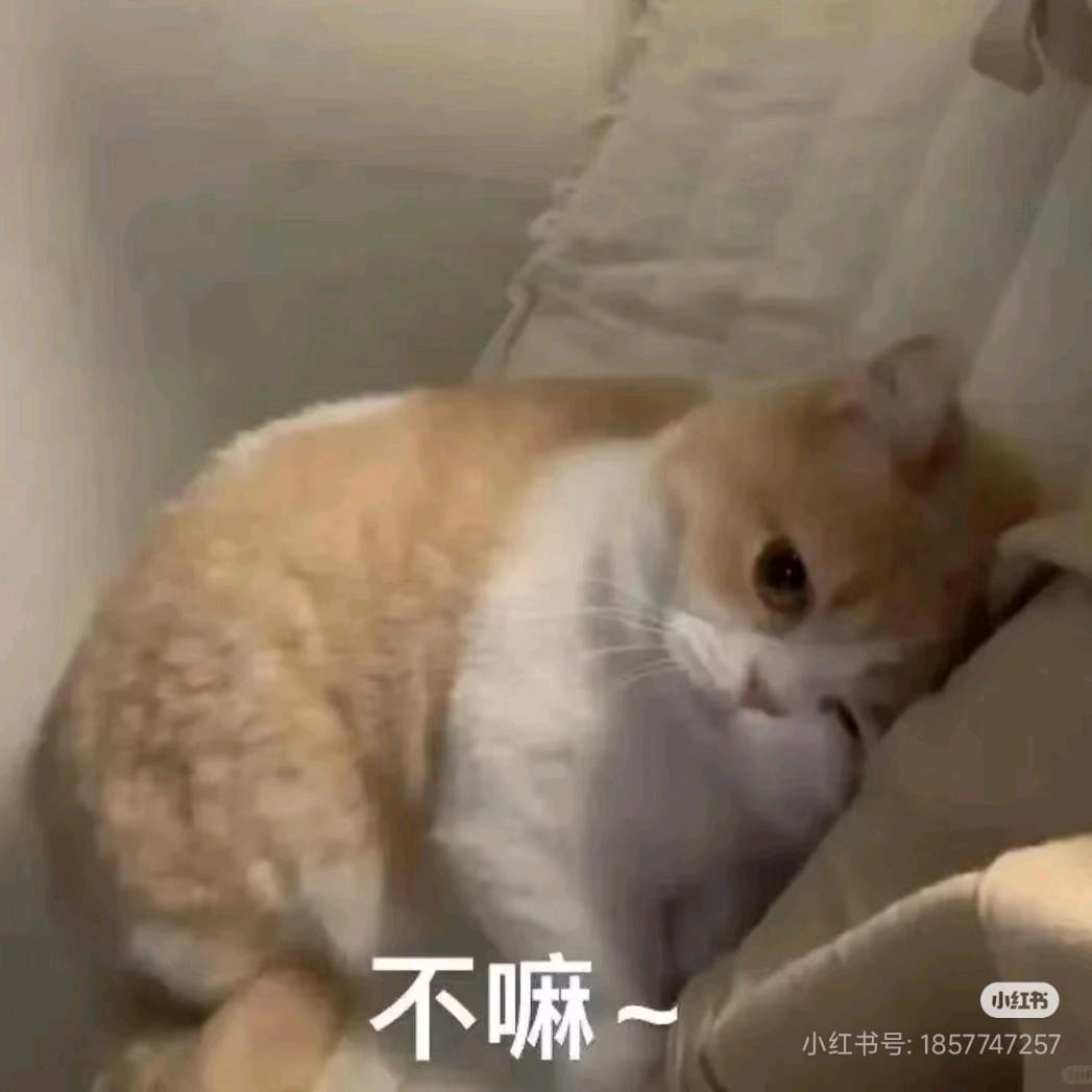二旬老人